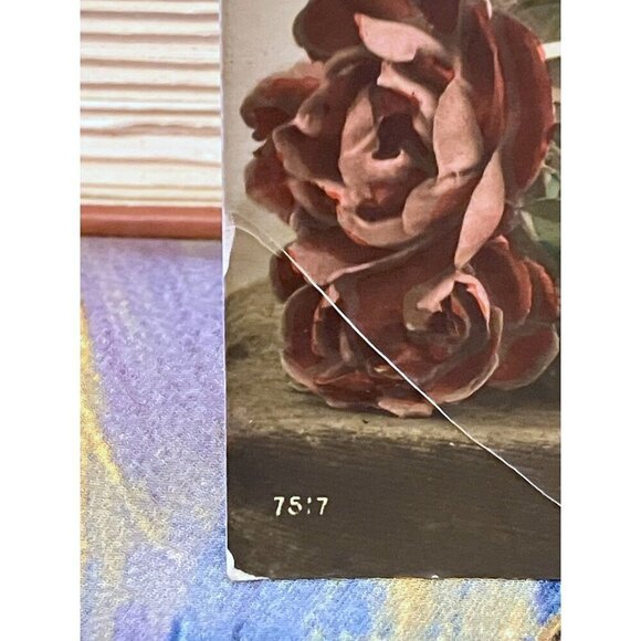 Antique French Postcard Roses Hand Colored Real Photograph Posted The Sower - Picture 7 of 9